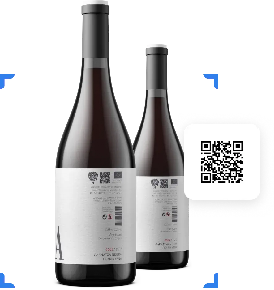 Create your first QR code in minutes 🍇 | Winetraqr