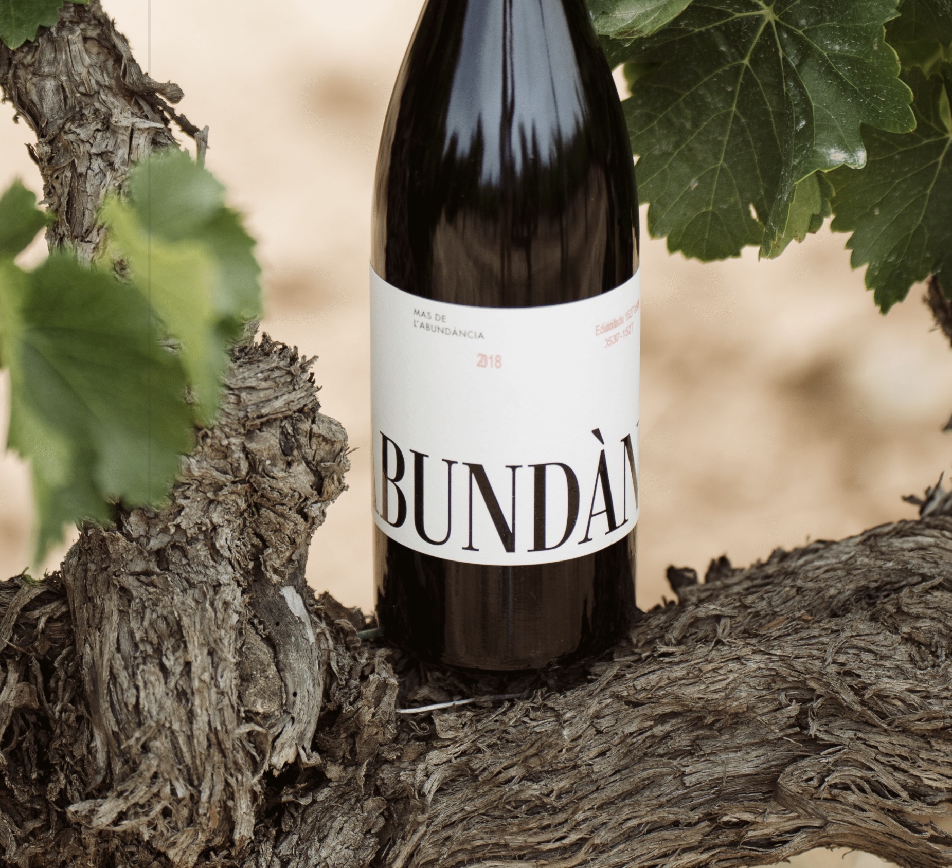 Abundància
