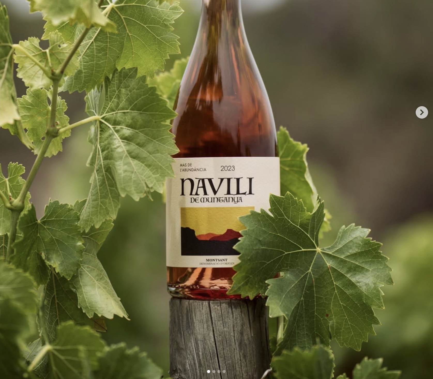 Navili